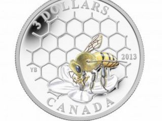 1/4 Oz Fine Silver Coin - Animal Architects: Bee & Hive (2013) photo