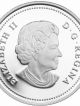 1/4 Oz Fine Silver Coin - Animal Architects: Bee & Hive (2013) Coins: Canada photo 1