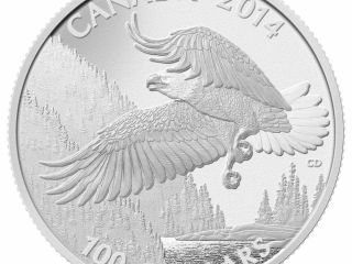 $100 For $100 1oz Fine Silver Coin - Bald Eagle (2014) photo