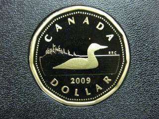 2009 Canadian Proof Loonie ($1.  00) photo