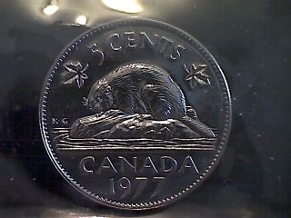 Canada 5 Cents 1977 High 7 Iccs Ms 67 Nbu photo