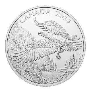 Canada 2014 $100 Bald Eagle,  99.  99 Silver,  3rd Coin In Wildlife Series,  No Tax photo