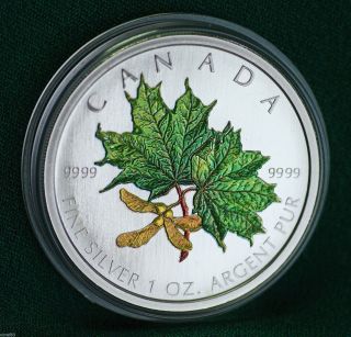 2002 Canada Coloured Silver Maple Leaf (spring) - 99.  99% Pure Silver photo