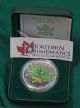 2002 Canada Coloured Silver Maple Leaf (spring) - 99.  99% Pure Silver Coins: Canada photo 1