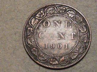 1901 Canadian Large Cent 6735a photo