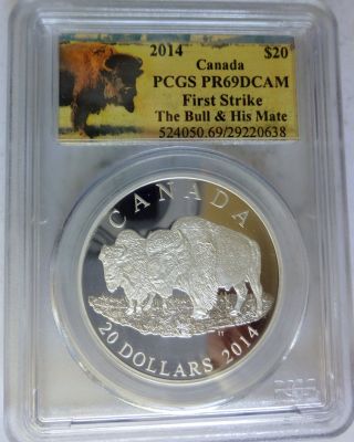 2014 - Buffalo - The Bull And His Mate - Pcgs Pf69dcam Silver Proof photo