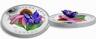 2013 $20 Fine Silver Coin - Purple Coneflower With Venetian Glass Butterfly photo