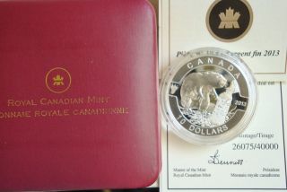 2013 Royal Canadian - Canadian Beaver $10.  9999 Silver Proof - 1/2 Troy Oz photo