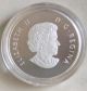 2013 Royal Canadian - Canadian Beaver $10.  9999 Silver Proof - 1/2 Troy Oz Coins: Canada photo 2