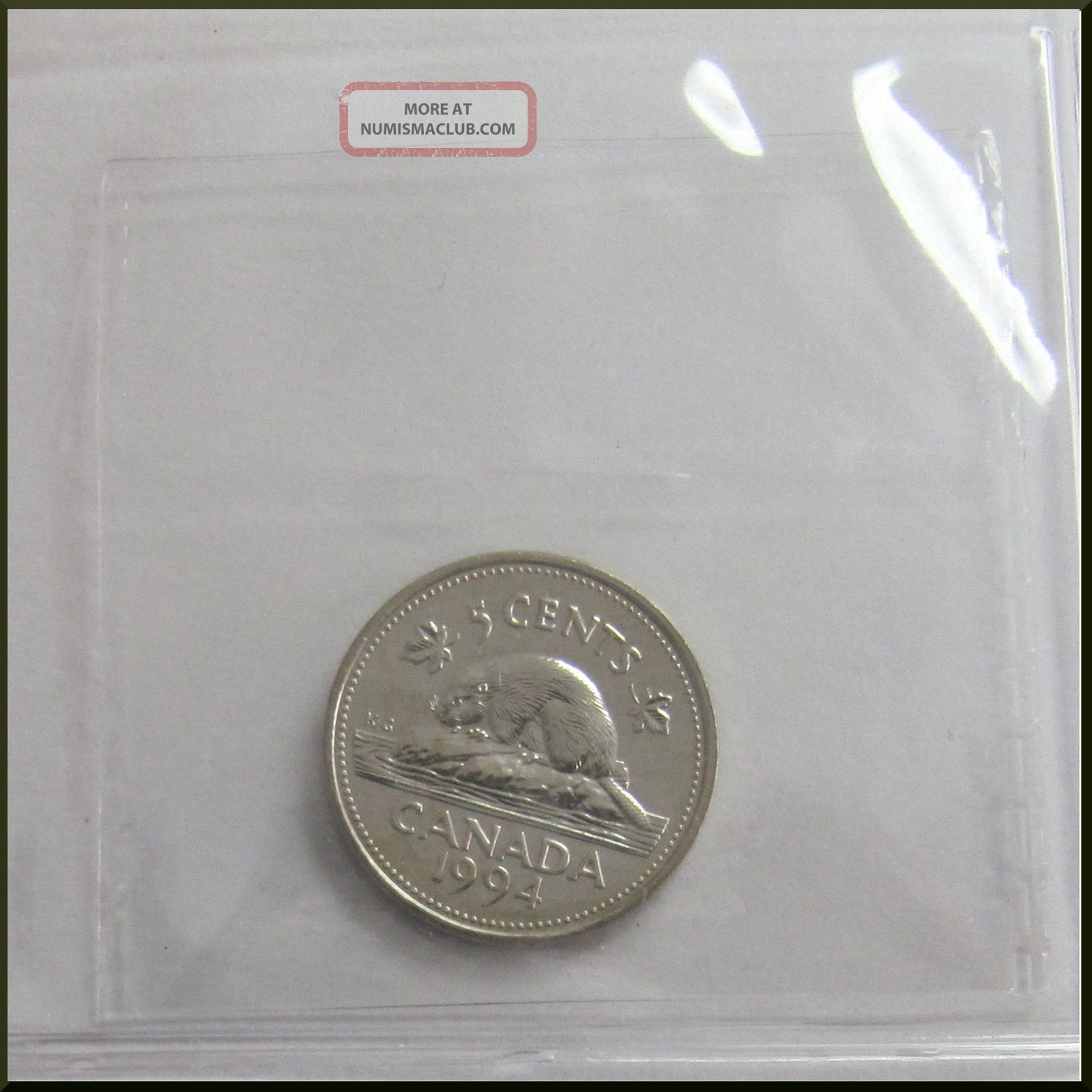 Canada 1994 5 Cent Nickel Coin Iccs Ms 65 canada-1994-5-cent-nickel-coin-iccs-ms-65