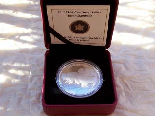 Gem 2013 $100.  00 Dollar Bison Collectable 1st Coin In The Series photo