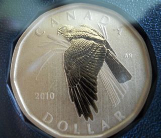 2010 Canadian Specimen Unc.  Canada Northern Harrier Loon Dollar Low Mintage photo