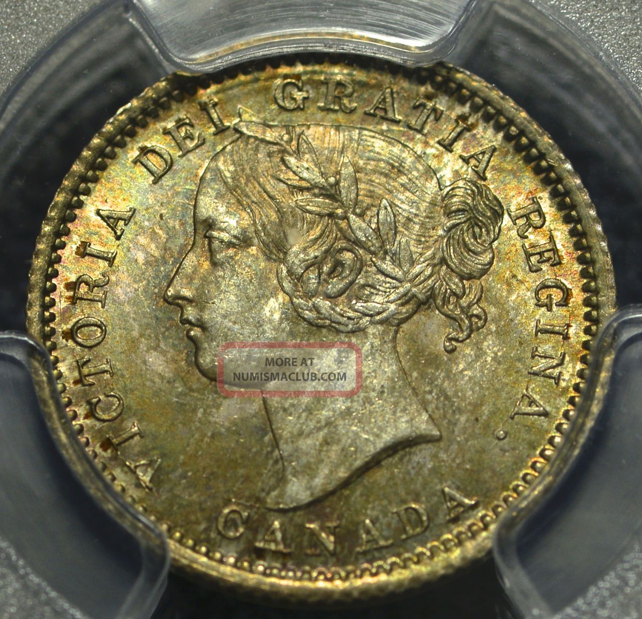 1871 Ten Cent (10¢) Iccs/pcgs Ms - 64 Pq+ Top 4 Golden Toning Wow Coins: Canada photo
