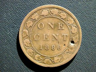 1886 Canadian Large Cent photo