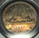 1937 Matte Dollar ($1) Pcgs Sp - 66 Pq+ Rainbow Toning - Wow Coins: Canada photo 3