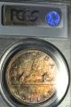 1937 Matte Dollar ($1) Pcgs Sp - 66 Pq+ Rainbow Toning - Wow Coins: Canada photo 5