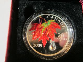Canada 2009 Color $20 Pure Silver Maple Leaf Autumn W Swarovski Crystal Raindrop photo