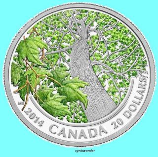 2014 Canada $20 Maple Canopy Spring Splendor.  9999 Silver 1oz Mintage 7500 Proof photo