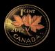2012 Canadian Penny 9999 Silver Gold Plated Large 1/2 Oz Silver Coin Gorgeous Coins: Canada photo 2