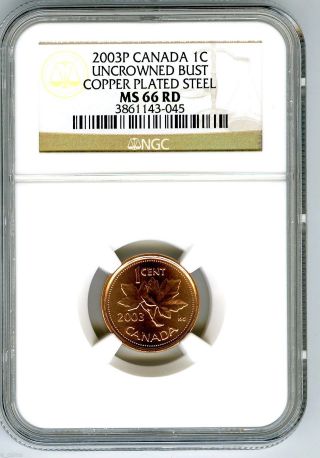2003 P Canada Cent Ngc Ms66 Rd Uncrowned Bust Effigy Copper Plated Steel photo