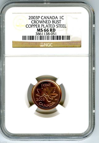 2003 P Canada Cent Ngc Ms66 Rd Crowned Bust Old Effigy Copper Plated Steel photo