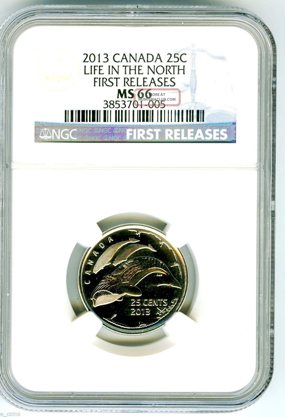 2013 Canada Life In The North Orca Whale Quarter Ngc Ms66 First Releases Rare Coins: Canada photo