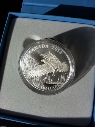 2014 Canada The Majestic Bald Eagle $100.  00 Fine Silver Coin,  Matte Proof photo