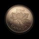 2012 Canadian Penny 5 Oz.  9999 Silver Huge 5 Oz Silver Coin Gorgeous Coins: Canada photo 2