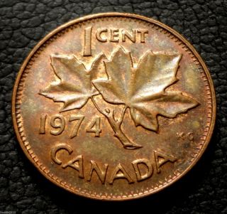Canada,  1974 1 Cent Elizabeth Ii Big Portrait,  (maple Leaf Twig) Coin photo