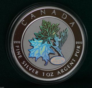2003 Canada 99.  99% Silver Good Fortune Hologram $5 - 1 Oz.  Reverse Proof Coin photo