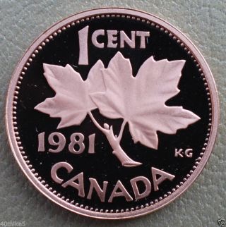 1 Cent Coin Proof 1981 photo
