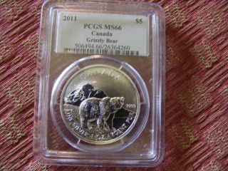 2011 Canada Pcgs Ms66 $5 Silver Grizzly Bear Wildlife Series Coin photo