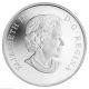 2014 $10 Pintail Duck,  Fine.  9999 Silver Coin,  Mintage 10,  000 - No Taxes Coins: Canada photo 1