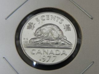 1977 Bu Pl Unc High 7 Canadian Canada Beaver Elizabeth Ii Nickel Five 5 Cent photo