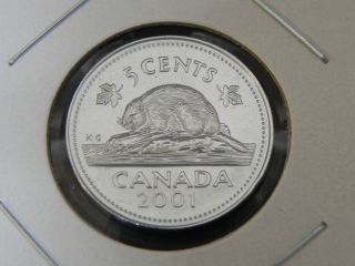 2001p Bu Pl Unc Canadian Canada Beaver Elizabeth Ii Nickel Five 5 Cent photo