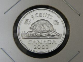 2003p Bu Pl Unc Canadian Canada Beaver Elizabeth Ii Nickel Five 5 Cent photo