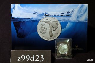 2012 Canada $20 For $20.  9999 Pure Silver Coin Polar Bear With Booklet photo