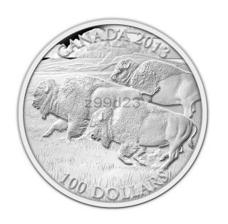 2013 Canada $100 For $100 Fine.  9999 Silver Coin - Bison photo