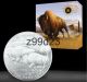 2013 Canada $100 For $100 Fine.  9999 Silver Coin - Bison Coins: Canada photo 1