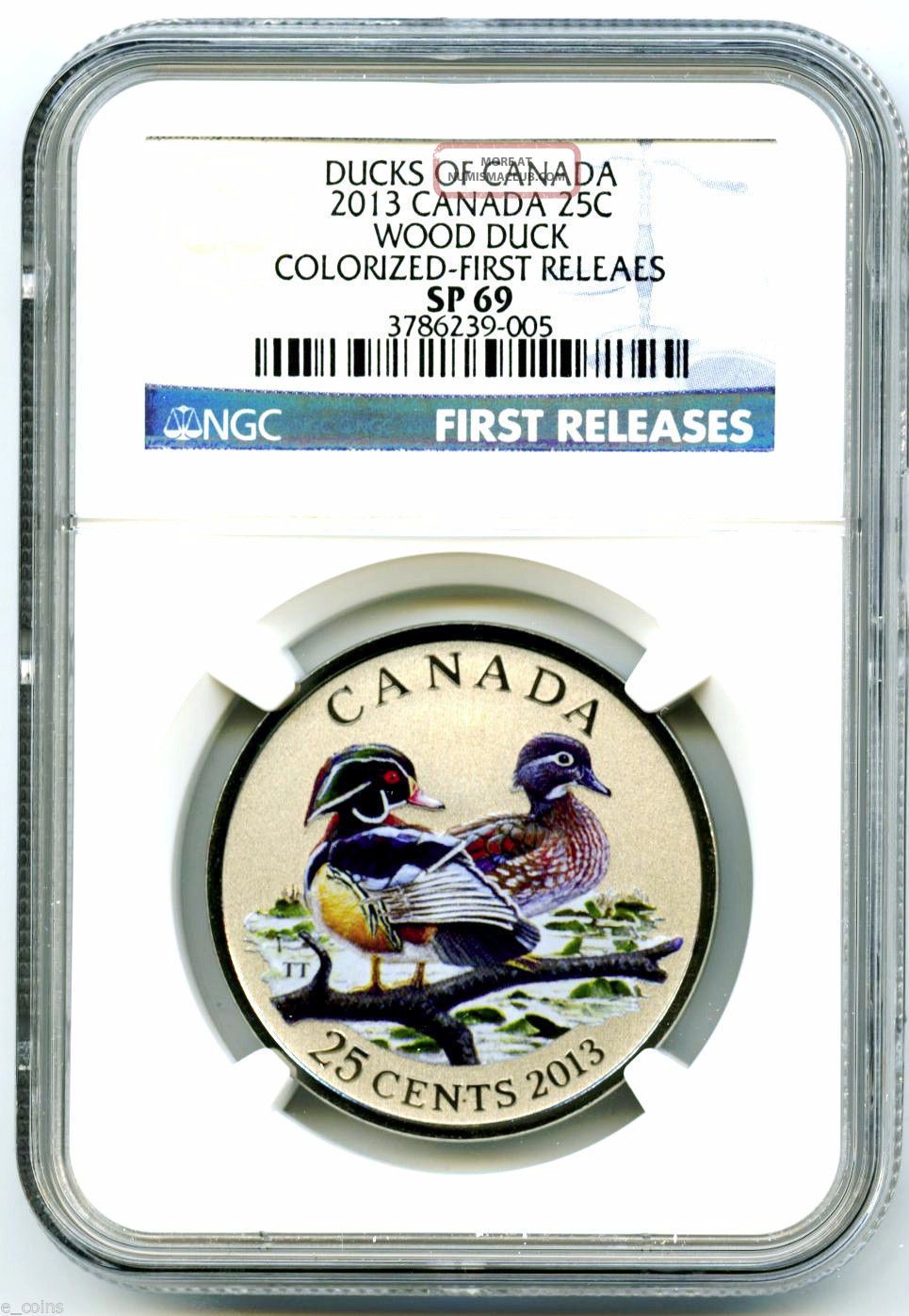 2013 Ducks Of Canada Oversized 25 C Colored Wood Duck Ngc Specimen Graded Coin Coins: Canada photo
