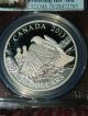 2013 Canada Bald Eagle Protecting Her Nest 1 Oz Proof Silver - Pcgs Pr70 Dcam Coins: Canada photo 1