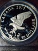 2013 Canada Bald Eagle Returning From The Hunt Proof Silver Coin Pcgs Pr70 Dcam Coins: Canada photo 1