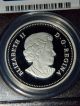 2013 Canada Bald Eagle Returning From The Hunt Proof Silver Coin Pcgs Pr70 Dcam Coins: Canada photo 2