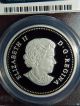 2013 Canada Bald Eagle - Lifelong Mates 1 Oz Proof Silver Coin - Pcgs Pr70 Dcam Coins: Canada photo 3