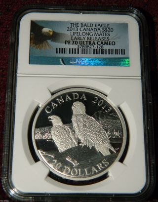 2013 Canada Bald Eagle - Lifelong Mates 1 Oz Proof Silver Coin - Ngc Pf70 Uc Er photo