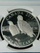 2013 Canada Bald Eagle - Lifelong Mates 1 Oz Proof Silver Coin - Ngc Pf70 Uc Er Coins: Canada photo 1