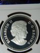 2013 Canada Bald Eagle - Lifelong Mates 1 Oz Proof Silver Coin - Ngc Pf70 Uc Er Coins: Canada photo 3