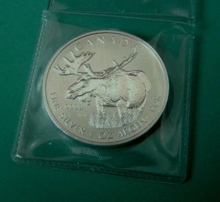 Canadian ' 2012 ' Fine 1 Ounce Silver ' Moose ' 5 Dollar Canadian Coin.  Proof Like photo