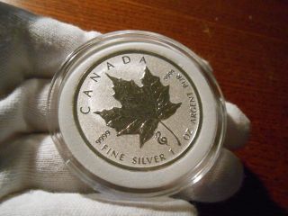 2013 Snake Privy Canadian Silver Maple Leaf (reverse Proof) photo