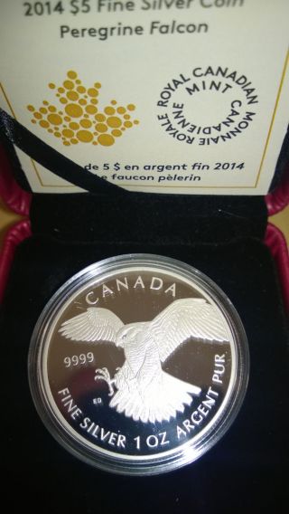 Canada 2014 Peregrine Falcon 1 Oz.  Fine Silver $5 Proof Coin photo
